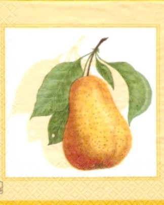 GUARDANAPO 210749