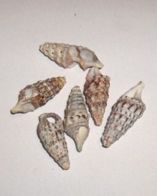FURADINHA