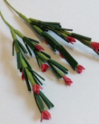 Florzinhas Vermelhas com folhas verdes