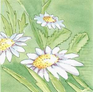 GUARDANAPO D004
