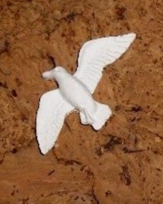 GAIVOTA