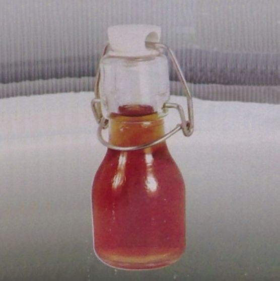 Garrafinha 50 ml tampa pressão