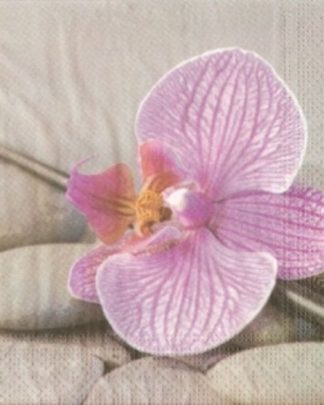GUARDANAPO 8919 ORQUIDEA