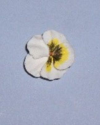 AMOR PERFEITO BRANCO E AMARELO