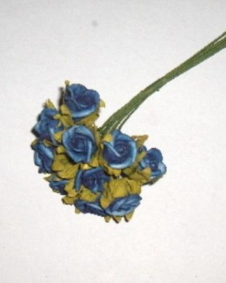 ROSINHA FOAM AZUL