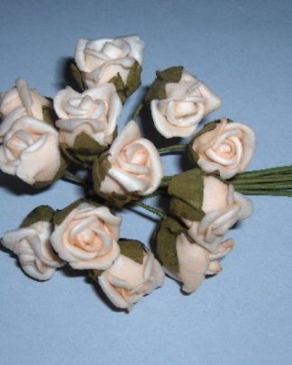 ROSINHA FOAM SALMÃO