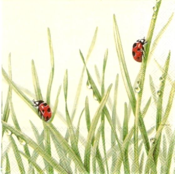 GUARDANAPO L 28960