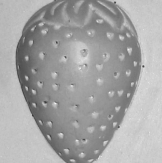 MORANGO pvc35