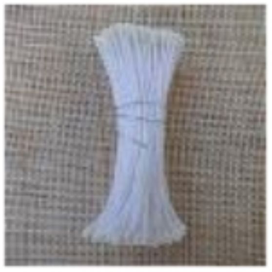 PISTILO BRANCO