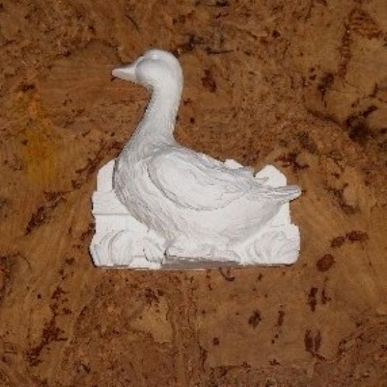 PATO NA CERCA