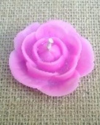 Flor de Santa Rita