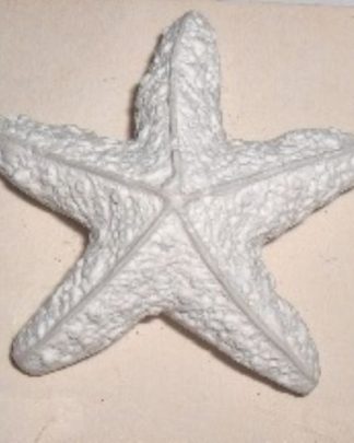 ESTRELA DO MAR ALTA