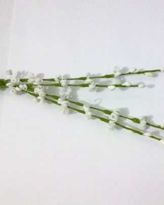 FLORINHAS BRANCAS