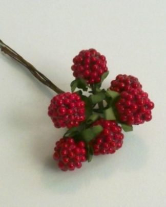 FRAMBOESAS