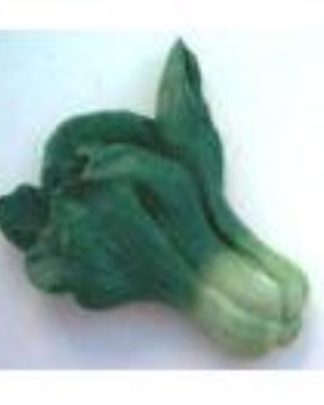 FUNCHO - molde de silicone