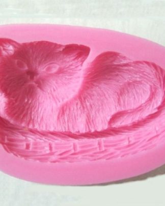 Gatinho na Cesta