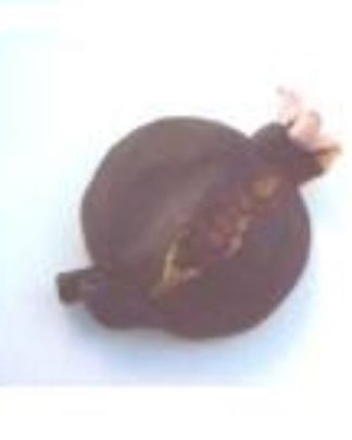 ROMÃ