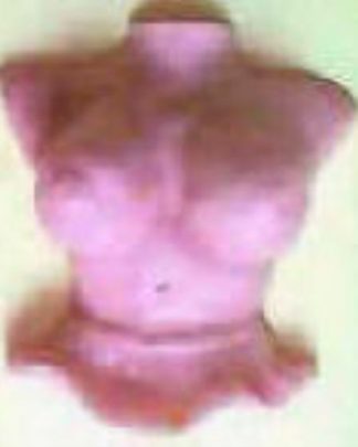 SEIOS