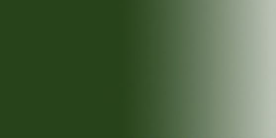 GOYA VERDE VEJIGA 69