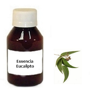 Essencia Eucalipto