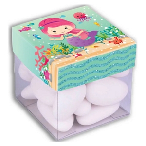 Caixa PVC quadrada 10x10x10cm