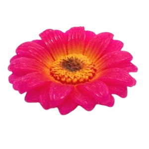 Moldes Flores e Folhas