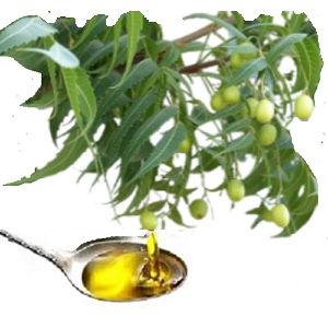 Oleo de Neem