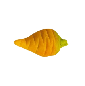Molde silicone Cenoura